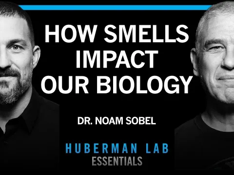 How Smell Shapes Hormones Health and Human Behavior According to Dr Noam Sobel