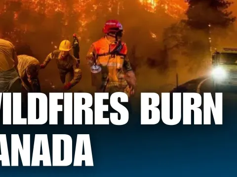 Canada 000 Explained Clearly