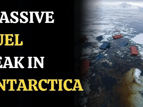 Antarctic Diesel Spill Raises Environmental Concerns After Ice Sheet Breaks