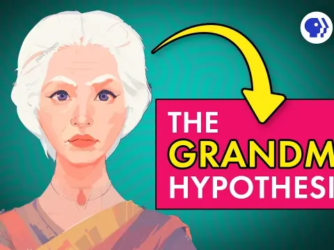 The Evolutionary Mystery of Why Grandmothers Exist