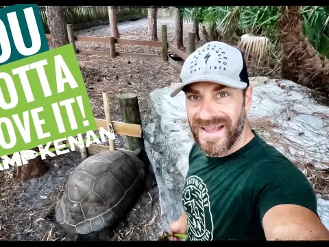 Spring Tortoise Care: Trimming Weeds and Feeding the Herd at Camp