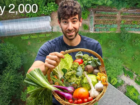 10 Garden Lessons Learned After 5 Years of Growing Food for My Family