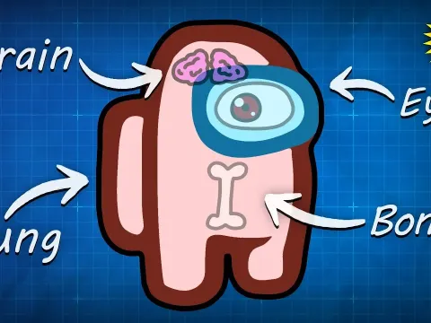 The Surprising Biology of Among Us Crewmates Revealed