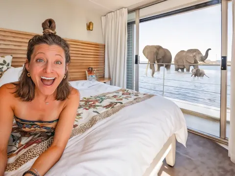 Experience the World's Best River Cruise Safari on the Chobe River
