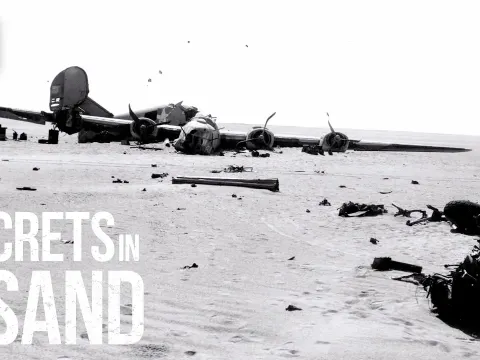 WWII B-24 Bomber Discovered Intact in Libyan Desert