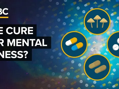 Trump Administration Fast-Tracks Psychedelic Drugs for Mental Health Treatment
