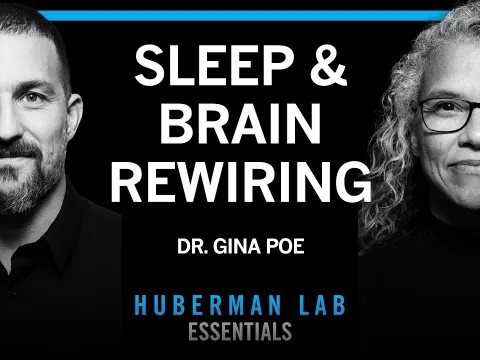 How Sleep Enhances Learning Memory and Emotional Health According to Dr Gina Poe
