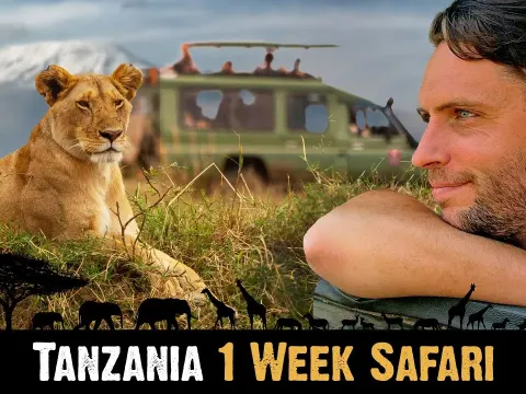 One Week Safari in Tanzania Exploring Serengeti, Ngorongoro Crater, and Zanzibar
