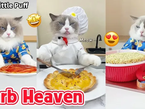 Puff's Ultimate Carb Feast Compilation