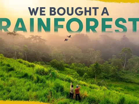 We Bought a Piece of the Amazon Rainforest to Restore and Protect It