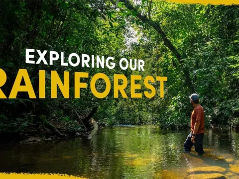 Exploring Our Purchased Land in the Amazon Rainforest
