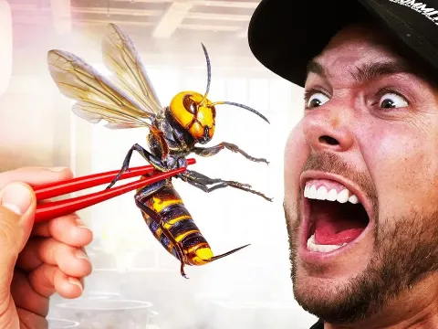 Why People Endure the World's Most Painful Insect Rituals