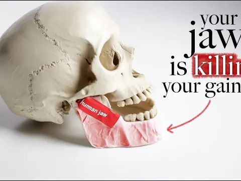 How Your Jaw and Teeth Impact Strength and Muscle Gains