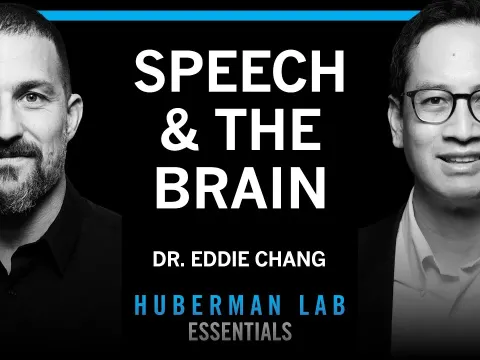 How the Brain Decodes Speech: The Science Behind Language and Communication