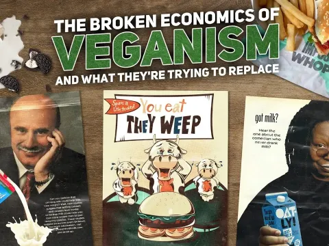 Why Plant-Based Milk Startups Struggle to Turn a Profit Despite Mainstream Success