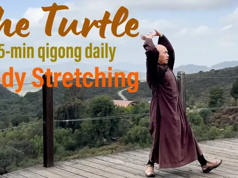 Daily Qigong Turtle Exercise for Full Body Stretch and Relaxation