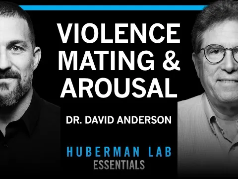 The Neuroscience of Aggression, Mating, and Arousal: Insights from Dr. David Anderson