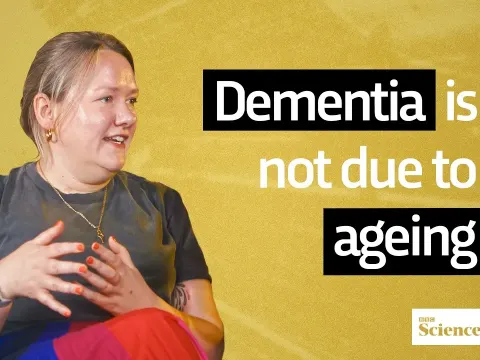 Selina Condition Features and What to Know