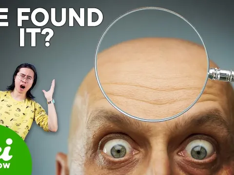 Hair See Features and What to Know
