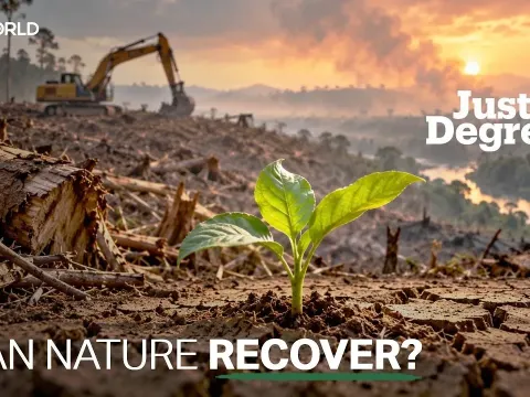 Tropical Forests Cover Just 3.6 Percent of Earth but Sustain Half Its Species