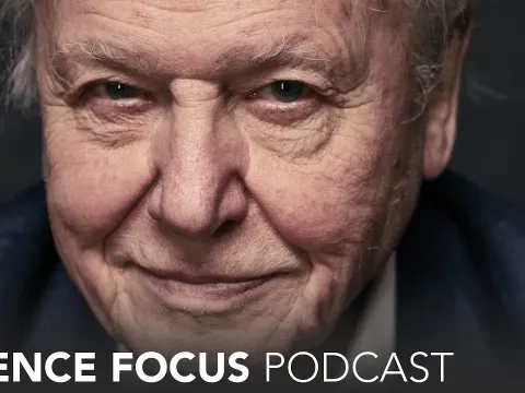 Sir David Attenborough on Saving Our Planet and the Urgency of Conservation