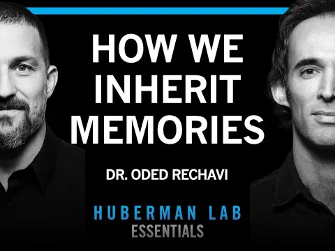 How Genes Carry Memories Across Generations and What It Means for Inheritance