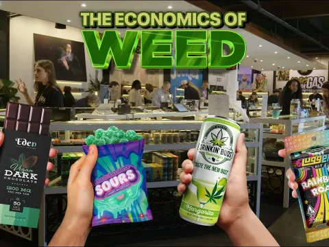 How Independent Dispensaries Survive the Collapse of the Legal Marijuana Industry