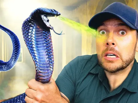 Searching for Spitting Cobras in an Abandoned Borneo Hotel