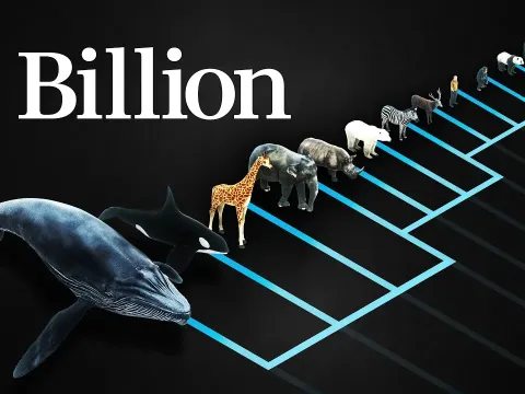 The Surprising Truth About Mammals and Their Billion Heartbeat Limit