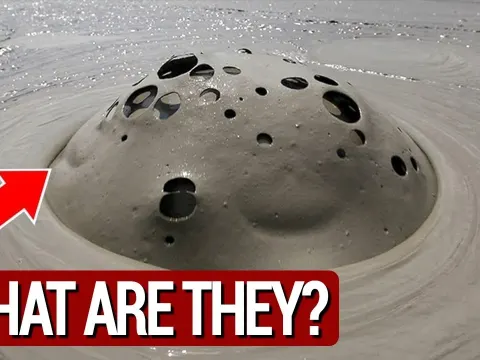 Exploring a Mud Volcano in California's Salton Sea Region