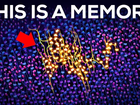 The Science of Memory Storage in the Human Brain