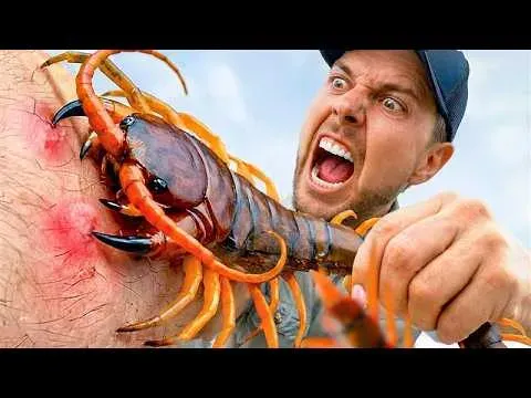 Brave Wilderness Host Ranks the Most Painful Insect Stings and Bites Ever Endured