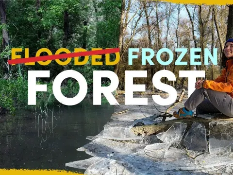 Flooded Froze and the Natural Context