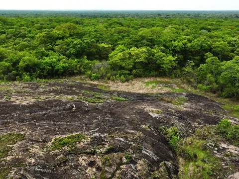Walking the African Bush on Foot A Nature Guide Explains Wildlife and History