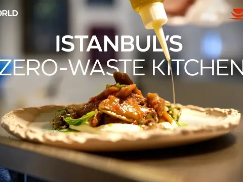 Waste: Kitchen and Why It Matters