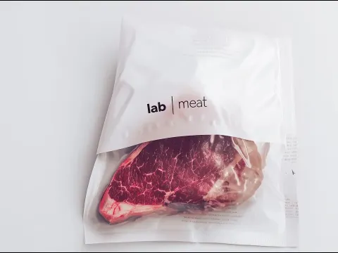 Lab-Grown Meat A Billion-Dollar Bet That May Never Pay Off
