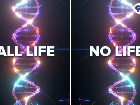 The Mystery of DNA's Right-Handed Helix and Its Cosmic Origins