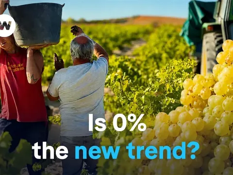 Non Wine Features and What to Know