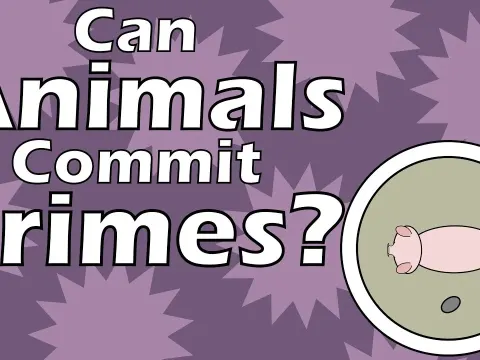 The Strange History of Animal Trials in Medieval Europe