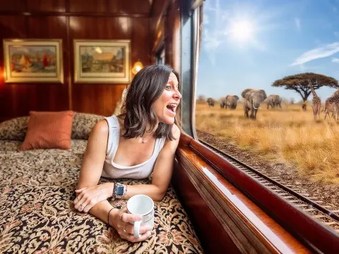 Experience Africa's Most Luxurious Train Journey on Rovos Rail