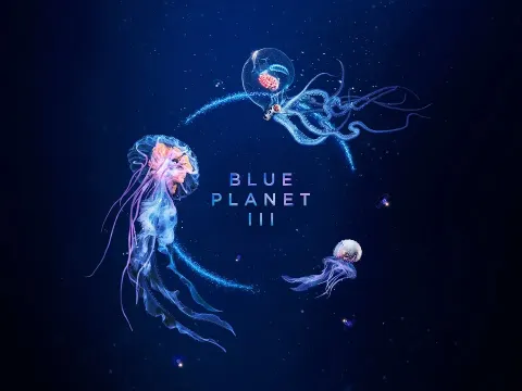 Blue Planet III Trailer Reveals JADE and Hans Zimmer Collaboration for BBC Earth