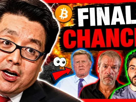 Crypto Market Turmoil Signals Potential Altcoin Surge