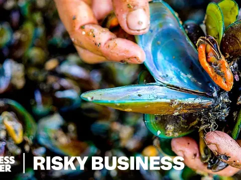 Indonesia's Green Mussel Harvesters Face Poisonous Waters and Debt Traps