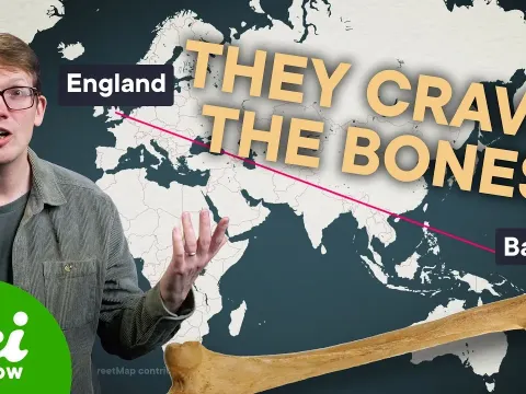 When 19th Century England Exhausted Its Bone Supply for Fertilizer