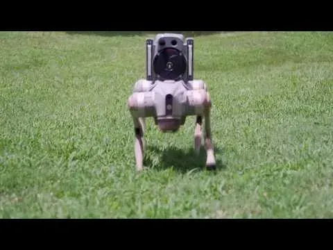 Security Robot Features and What to Know