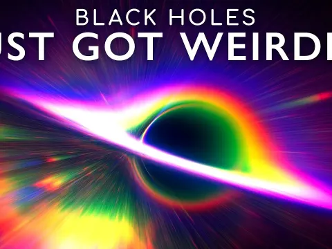 What You Would Actually See While Falling Into a Black Hole Before Reaching the Singularity