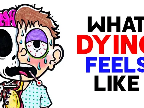 What Dying Feels Like According to New Scientific Research