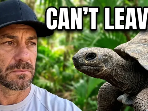 Why Leaving Camp Always Causes Stress and Drama for This Content Creator