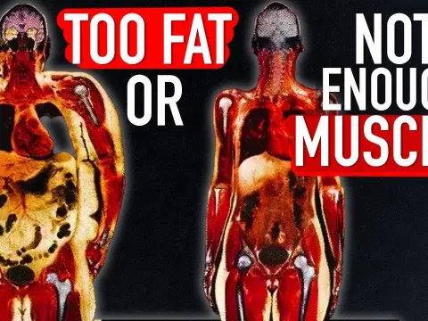 Why Muscle Mass Matters More Than Body Fat for Health