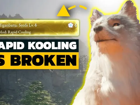 Beast You Features and What to Know